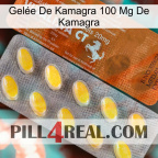 Gelée De Kamagra 100 Mg De Kamagra 42